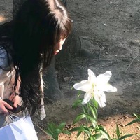 内娱吃瓜酱